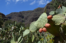 Land: Gran Canaria